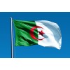 Flag of Algeria