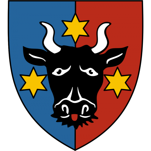 Flag of Bucovinei