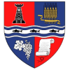 Flag of Bihor