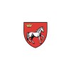 Flag of Iasi