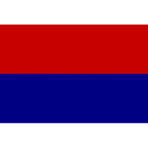 Flag of Carei