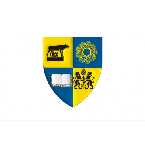 Flag of Cluj