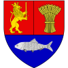 Flag of Dolj