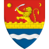 Flag of Timis