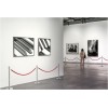 Pair of two silver barrier post & one red rope